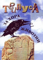 Корица
