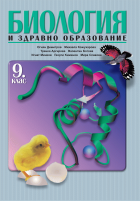 Корица