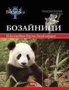 Корица