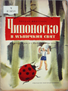 Корица