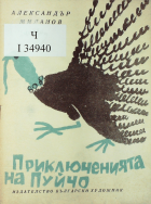 Корица