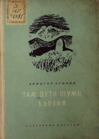 Корица