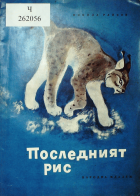 Корица