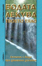 Корица