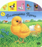 Корица