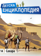 Корица