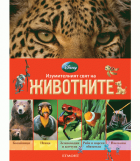 Корица