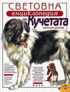 Корица