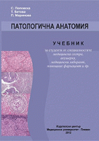 Корица