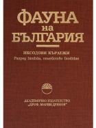 Корица