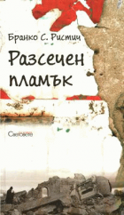 Корица