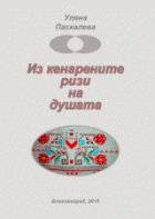 Корица