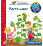 Корица