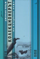Корица