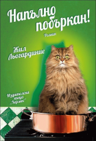 Корица