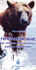 Корица