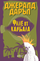 Корица
