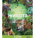 Корица