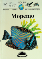 Корица