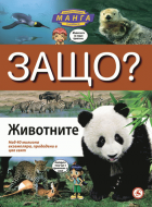 Корица