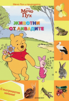 Корица