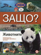 Корица