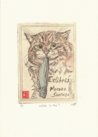Корица