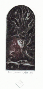 Корица