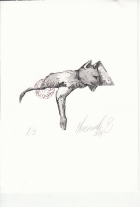 Корица