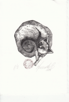 Корица