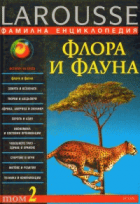 Корица