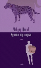 Корица