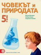 Корица