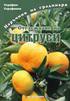 Корица