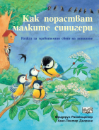 Корица