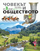 Корица