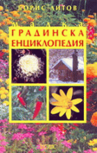 Корица