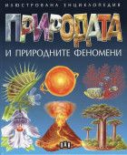 Корица
