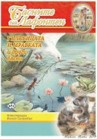 Корица