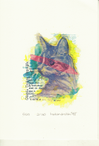 Корица