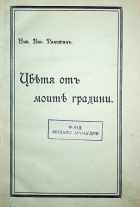 Корица