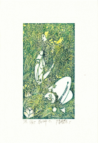 Корица