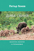 Корица