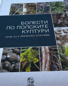 Корица
