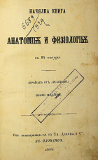 Корица