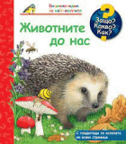 Корица