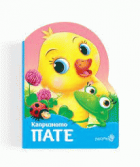 Корица