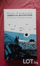Корица
