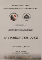 Корица