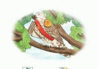 Корица
